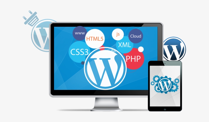 How Can WordPress Help Your Business?