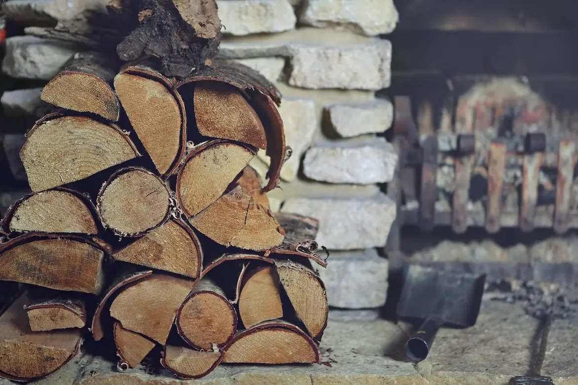 4 Different Types of Firewood Which is Best for Your Needs