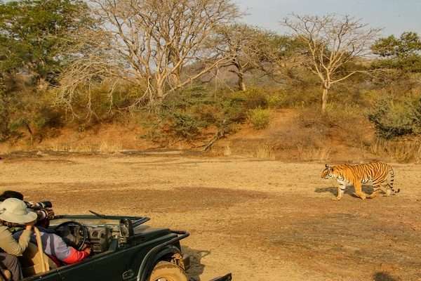 Golden Triangle Tour with Ranthambhore-Tiger Safari