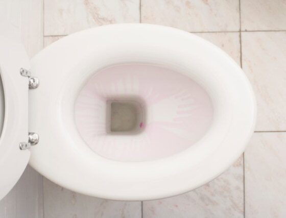 Toilet Seat for Sterling Toilets