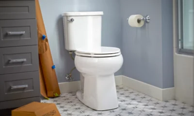 Toilet Seat for Sterling Toilet