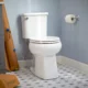 Toilet Seat for Sterling Toilet