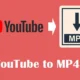 YouTube to MP4 converter