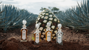 AgaveLuz Organic Tequila