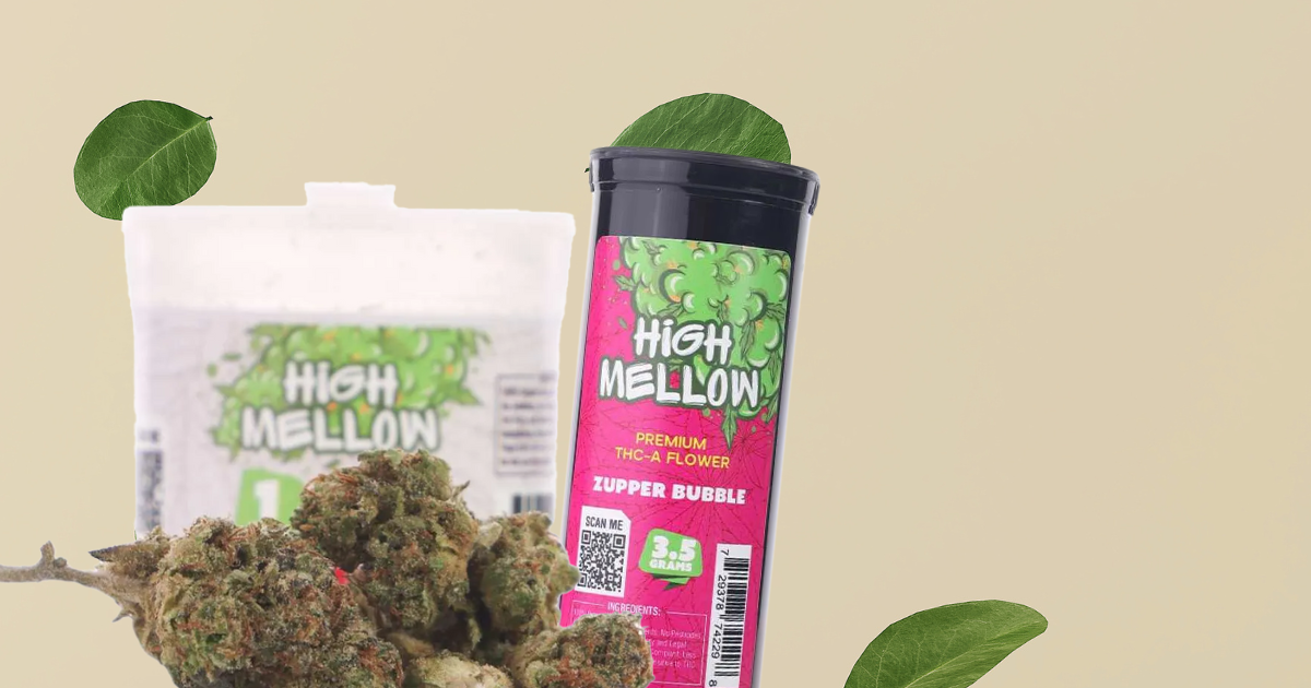 Sour Jack Strain