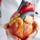 Cardiologist