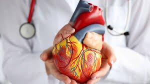 Cardiologist