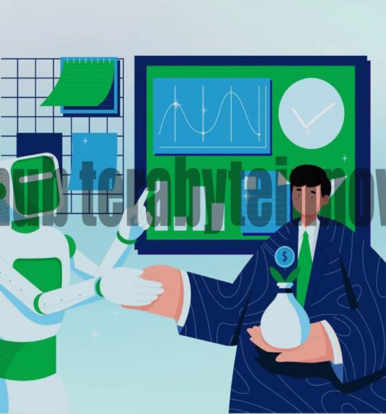Carehub Terabyteinnovation: Transforming Healthcare Delivery