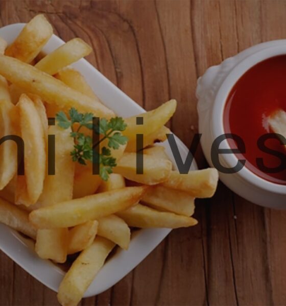Hilives: Revolutionizing Digital Solutions for Modern Businesses