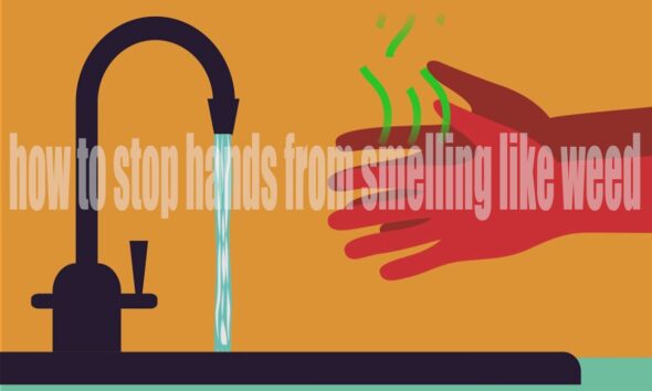 How to Stop Hands from Smelling Like Weed: 8 Effective Methods