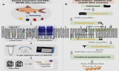 How to use peptide and protein prophet for validation