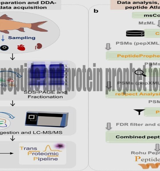 How to use peptide and protein prophet for validation
