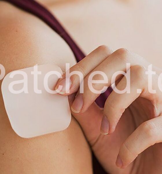 Patched.to: Your Gateway to Cracking, Leaks, and Digital Resources