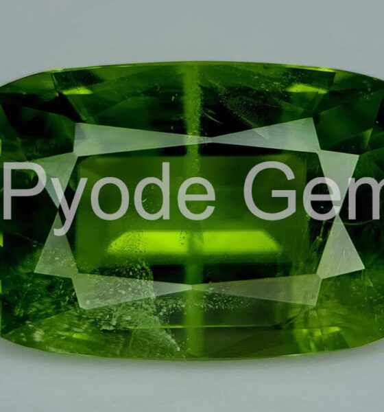 PyODE Gem: Your Gateway to Advanced Physics Simulations in Ruby