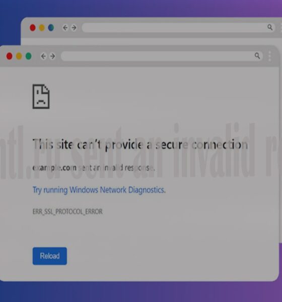 How to Fix "snowmtl.ru sent an invalid response" Error