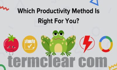 Termclear com: Your Complete Guide to Streamlined Terminology Management