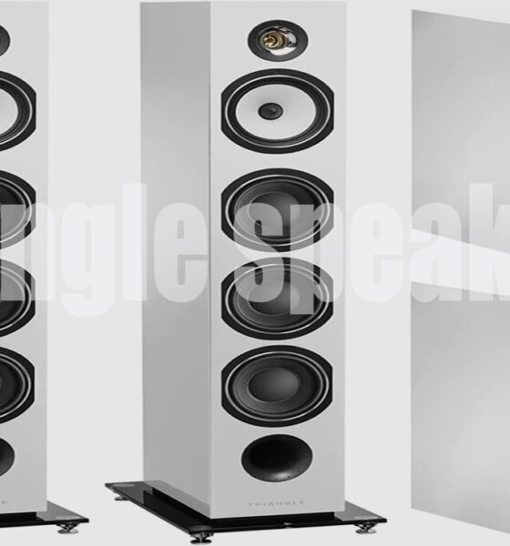 Triangle Speakers: French Audio Excellence for Every Listener