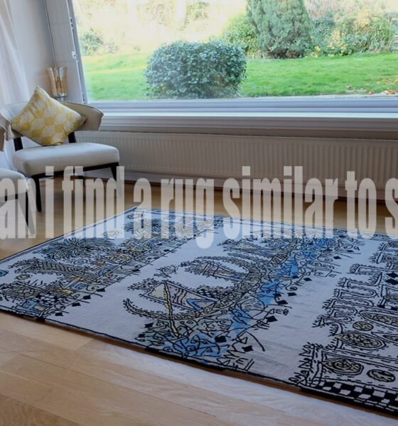 Where to where can i find a rug similar to sabri rug