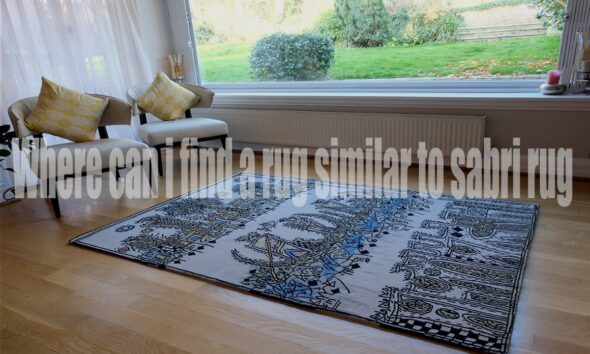 Where to where can i find a rug similar to sabri rug