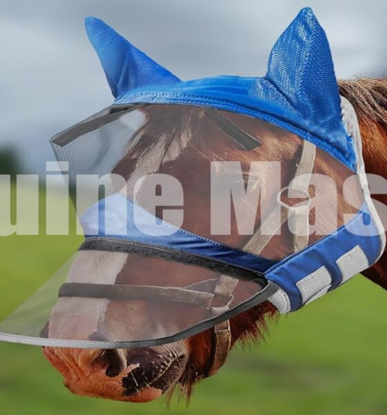 The Complete Guide to Equine Masks for Horse Care