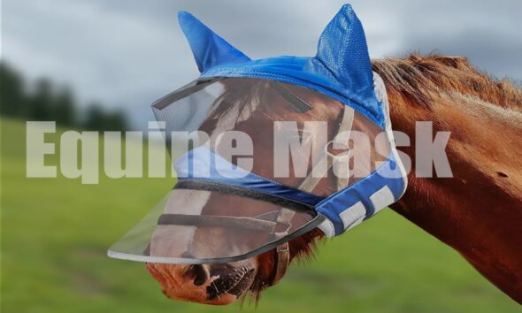 The Complete Guide to Equine Masks for Horse Care