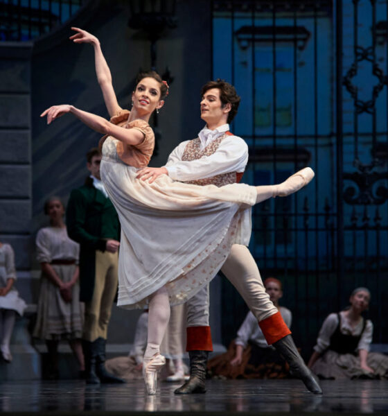 Swan Lake Story for Dummies: A Simple Beginner’s Guide