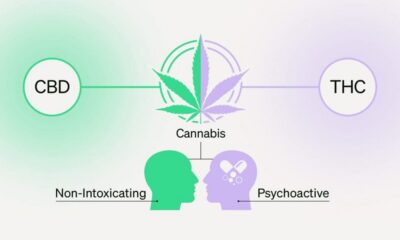 THC Shooters vs. CBD Shots: What’s the Difference?