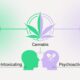 THC Shooters vs. CBD Shots: What’s the Difference?