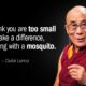 Dalai Lama Quotes: Short Teachings, Real Practice