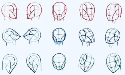 “The Loomis Method: A Beginner-Friendly Guide to Mastering Drawing”