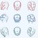 “The Loomis Method: A Beginner-Friendly Guide to Mastering Drawing”