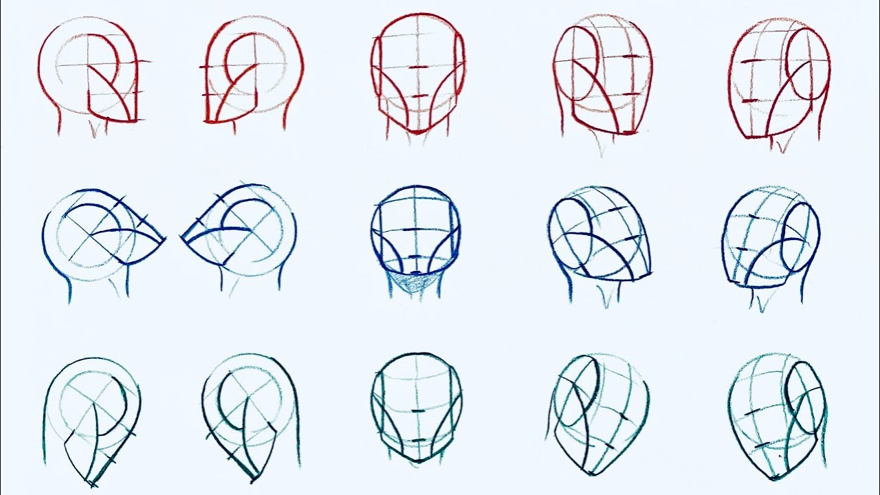 “The Loomis Method: A Beginner-Friendly Guide to Mastering Drawing”