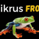 Mikr.us_Frog_VPS: The Complete Beginner’s Guide to Free Tiny VPS Hosting